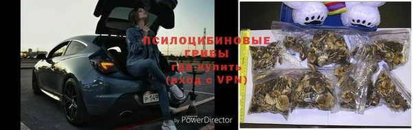 твердый Няндома