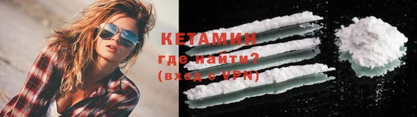 стаф Новодвинск