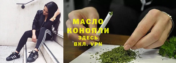 стаф Новодвинск