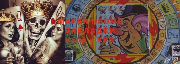 стаф Новодвинск