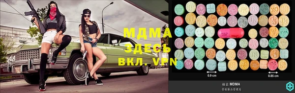 стаф Новодвинск