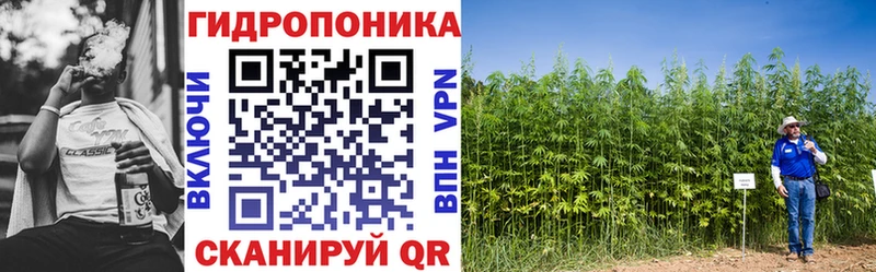 как найти Почеп МАРИХУАНА гибрид